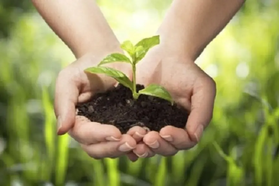 Giornata mondiale dell'ambiente 2017: curiosità ed eventi più importanti