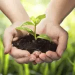 Giornata mondiale dell'ambiente 2017: curiosità ed eventi più importanti