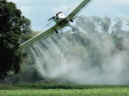 Allarme per il Glifosato: trovato nelle urine di donne incinte a Roma