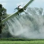 Allarme per il Glifosato: trovato nelle urine di donne incinte a Roma