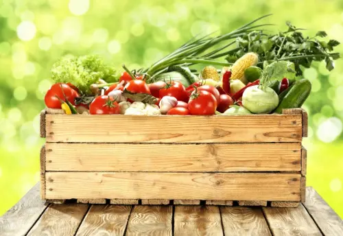 Siamo davvero certi che i cibi bio siano tali?