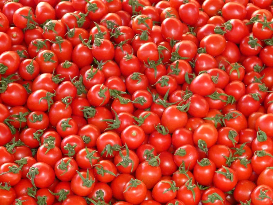 I Pomodori: Proprietà e Benefici