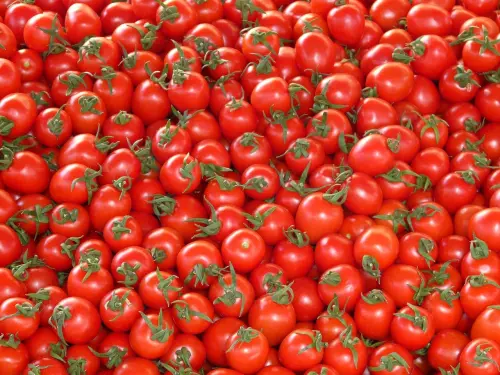 I Pomodori: Proprietà e Benefici
