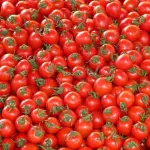 I Pomodori: Proprietà e Benefici