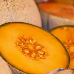 Il Bitter Melon: Proprietà e Benefici
