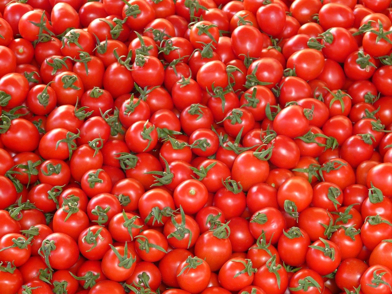 I Pomodori: Proprietà e Benefici