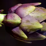 I Carciofi: Proprietà e Benefici