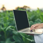 I migliori asset legati all’ambiente per investire in borsa