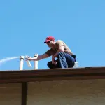 Disinfestazione cimici: quando intervenire e a chi rivolgersi