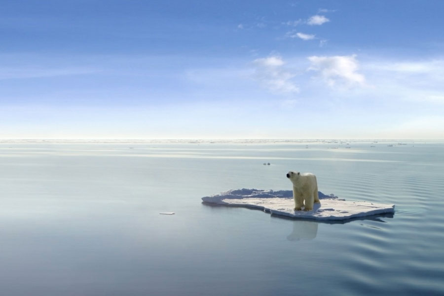 Riscaldamento globale e gas serra, gli effetti su ambiente e uomo